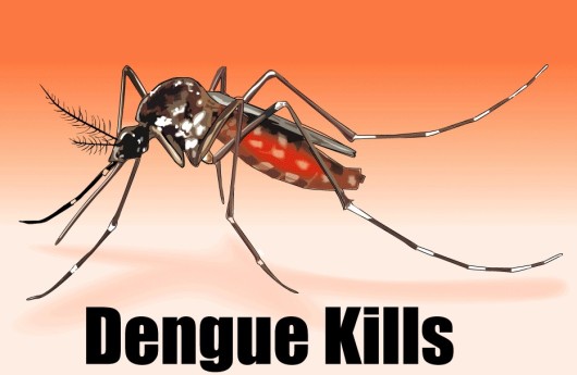 Dengue Kills
